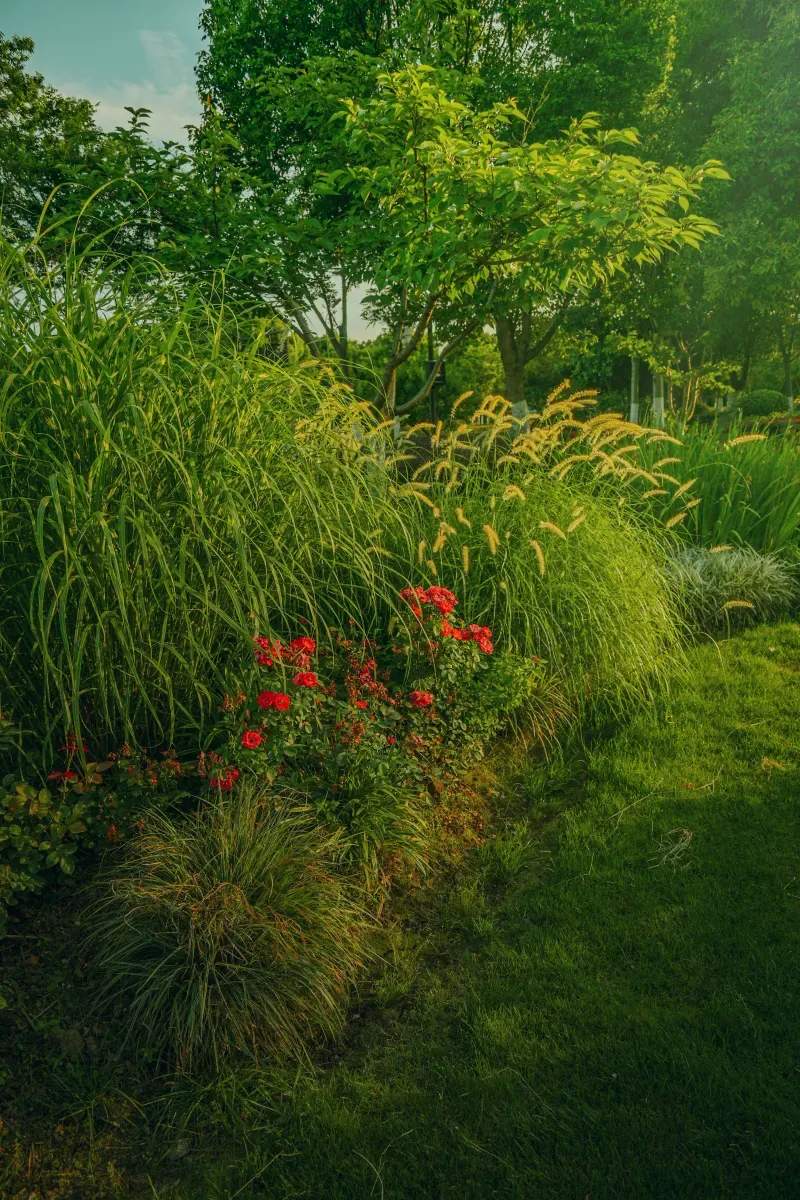 Seasonal Planting Plan and Bed Refresh Workflow