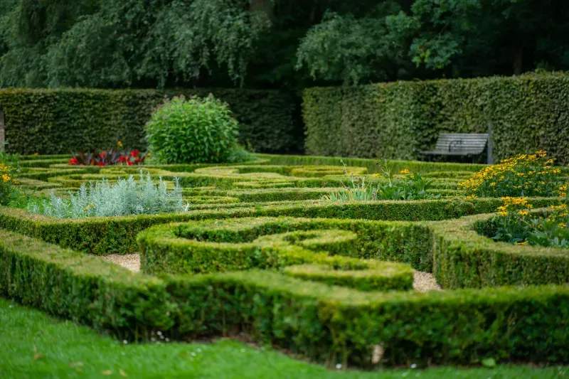 North Maple Garden Co. 13
