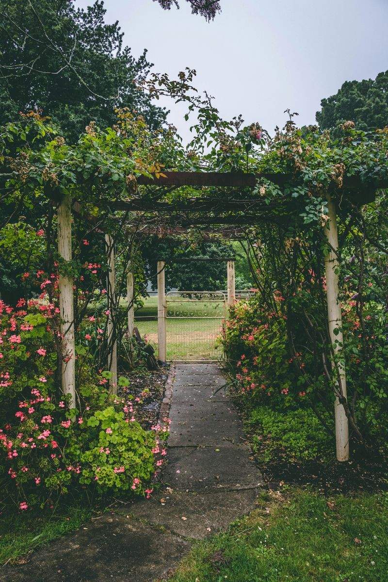 Garden design and planting plans