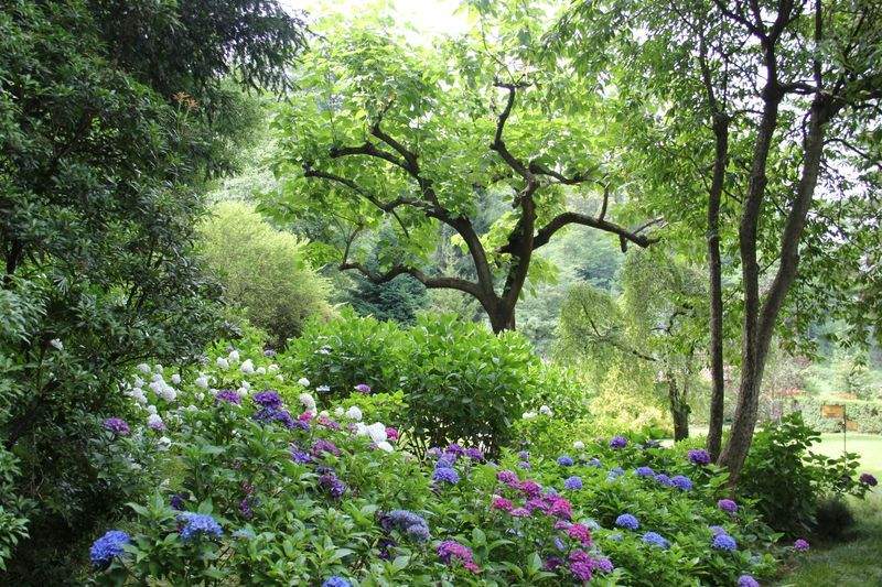 Seasonal garden cleanup